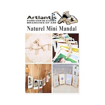 Naturel Mini Mandal Ahşap 150 Adet Renksiz Minik Mandal Dekoratif Süsleme Fotoğraf Asma Mandalı Dekarasyon