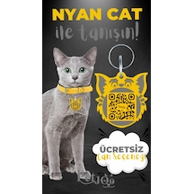 Petjoo 2.Nyan Cat Gri-Sarı Qr'lı Kedi Künyesi
