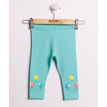 Mint Yeşili