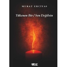 Tükenen Bir - Sen Değilsin - Murat Erciyas - Gülnar Yayınları