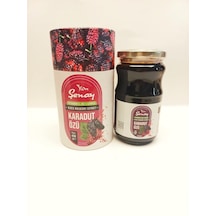 Şenay Karadut Özü 450 Gr
