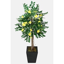 Yapay Çiçek Deposu Yapay Sibirya Bezelye Ağacı Caragana Arborescens 120 Cm