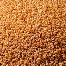 Servet Altın Susam 200 G