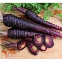 Mor Havuç Tohumu 3 Gr. - 4 Saksı+torf Hediye