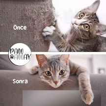 Pawaway Kedi Eğitim Bandı Tek Yüz Yapışkanlı Tırmalama Caydırıcı Koltuk Mobilya Koruyucu Şeffaf 25 x 45 CM 4 Adet