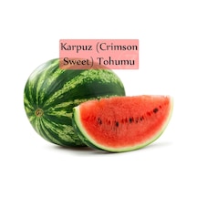 Karpuz Tohumu 1 Paket Crimson Sweet Karpuz Tohumu Ekmeye Uygun Verimi Yüksek Paket Tohum