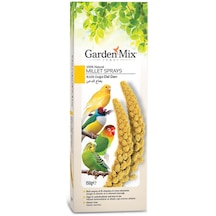 Garden Mix Platin Sarı Dal Darı