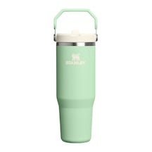 Stanley The Iceflow Flip Straw 2.0 Tumbler 0.89l / 30oz Pistachio Çok Renkli