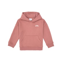 U.S. Polo Assn. Kız Çocuk Orkide Kapüşonlu Şardonlu Basic Sweatshirt 50314304-VR221