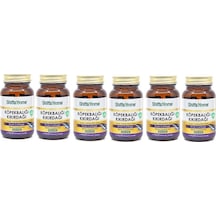 Aksu Vital Shiffa Home Köpek Balığı Kıkırdağı (Shark Cartilage) 60 Kapsül 6 Adet