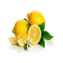 Tüplü Aşılı Özel Çeşit Kütdiken Limon Fidanı