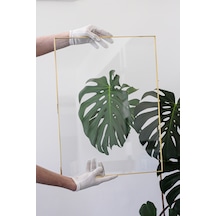 Zincirsiz Resim & Fotoğraf Çerçeveleri 40x30cm