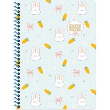 Keskin 16,5 22,5 Çizgili Spiralli Kawaii Defter - Tavşan Çok Renkli