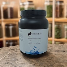 Esterebirth Buz Maskesi 300 G