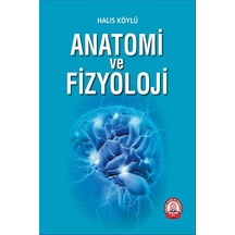 Anatomi Ve  Fizyoloji