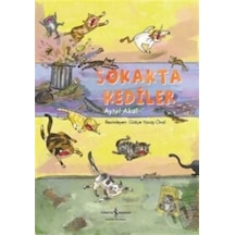 Sokakta Kediler