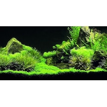Kanki Pet Kp1256335 Akvaryum Arka Fon Yapıştırma 125 X 63 Cm