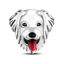 Fubena Gülümseyen Köpek Charm