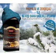 Nurs Lokman Hekim Propolis Ve Zerdeçal Katkılı Keçiboynuzu Özü 640 G