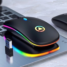 Dailytech Şarj Edilebilir Kablosuz LED Aydınlatmalı Optik Mouse