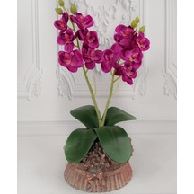 Beton Saksılı Yapay Orkide Bronz Renk Fiyonklu Saksıda Fuşya Mini Orkide