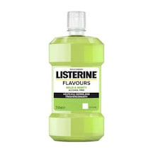 Flavours Mild & Minty Alkolsüz Ağız Gargarası 250ml