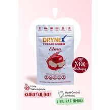 Drynex Freeze Dried Elma Dondurularak Kurutulmuş Çıtır Atıştırmalık Meyve Cipsi Şekersiz Glutensiz Vegan 20 G