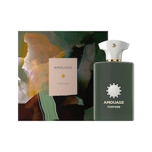 Amouage Purpose Edp 100 Ml Erkek Parfüm Fresh