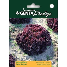 Genta Prestige Sebze Tohumu Kırmızı Marul Lolo Rosso