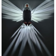 Kartal Şeklinde Renkli Dekoratif Gece Lambası / Aplik Beyaz - Siyah