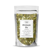 Tos The Organic Spices Altınbaşak Otu 50 G Solidago Gigantea