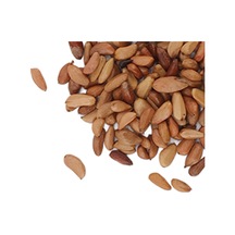 Lebihmurah 4410 Bahçe Tırmanma Gül Tohumları, Tam Güneş Doğrudan Ekim Balkon Sütunu İçin Tırmanma Gül Tohumları