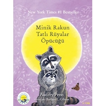 Minik Rakun Tatlı Rüyalar Öpücüğü - Qhdh-899664