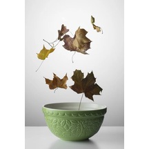 In The Forest 21cm Hedgehog Mixing Bowl Karıştırma Kasesi Yeşil