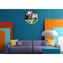 Ti-play Buldog 30x30cm Akrilik Dekoratif Modern Duvar Saati ÇOk Renkli