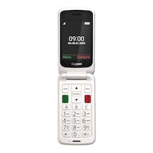 Gl595 Tuşlu Cep Telefonu Beyaz