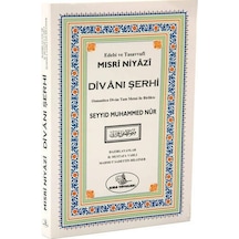 Niyazi Mısri Divanı Şerhi
