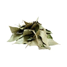 Defne Yaprağı 80 Gr Paket