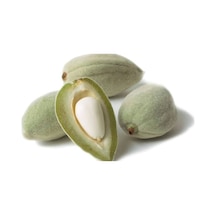 Taze Çağla 50 Gr