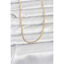 Cm 14k Gold Renk Dolgun Zincir Model 60 Cm Kadın Kolye Çok Renkli