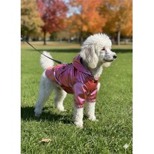 Patilinka Kedi Köpek Kışlık Kıyafet Kırmızı Kapüşonlu Yağmurluk