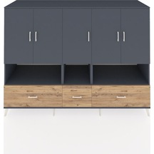 Antrasit - Antrasit - Çam