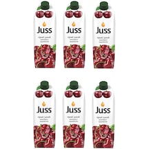 Juss Vişne Meyveli İçecek 1 Lt X 6 Adet