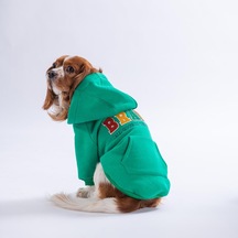 Yeşil Bronx Brave Köpek Hoodie Köpek Sweat Köpek Kıyafeti Kedi Kıyafeti