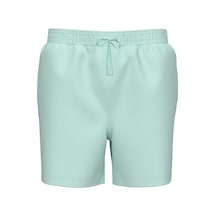 Mint Yeşili
