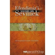 Efendimiz'i Sahabe Gibi Sevmek  - Muhammed Emin Yıldırım  - Siyer Yayınları