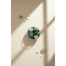 Giselle : Cacti Collection Candle Yeşil