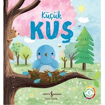 Küçük Kuş N11.2699