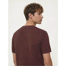 Loft Basic Kahverengi Erkek T-shirt Lf2043430