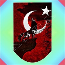 Kurt Şarjör Altliği N11.508